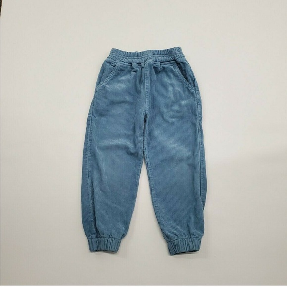 HTF Fin & vince blue corduroy pant 4/5 - Picture 2 of 5